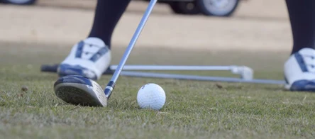 フェアウェイウッド