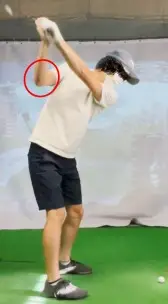 トップ
