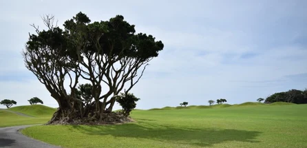 アンプレアブルできない